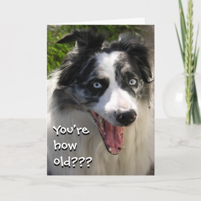 Quão Antigo Cartão (Frente)