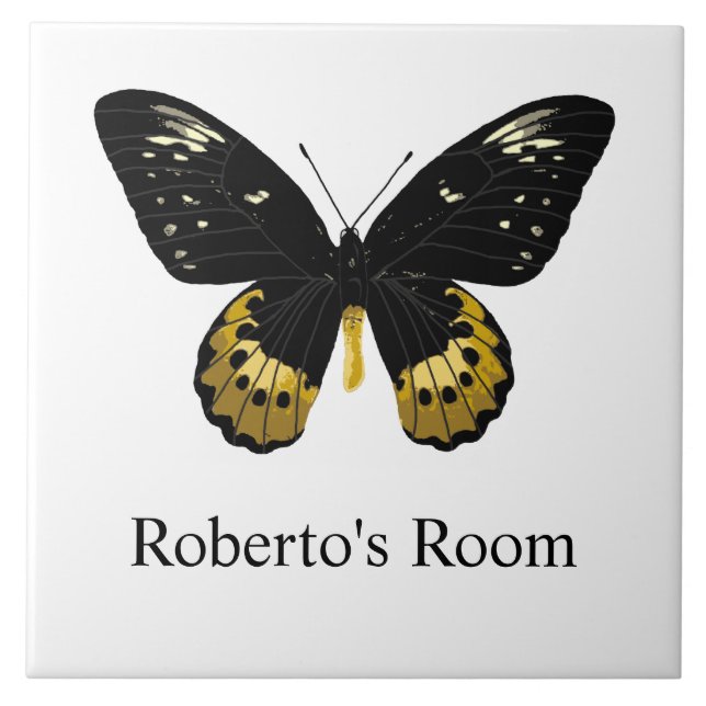 Quarto de Crianças Borboleta  (Frente)