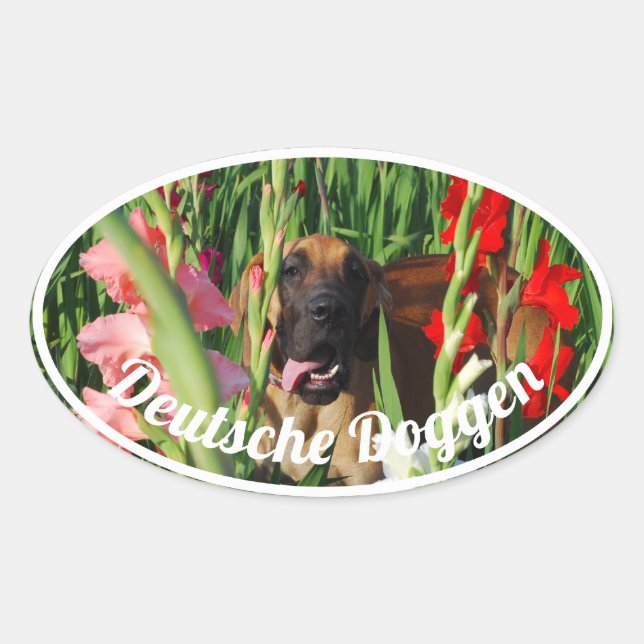 Quatro adesivos de Dogue Alemão (Frente)