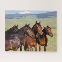 Quatro Belos Cavalos Quebra-cabeça