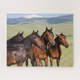 Quatro Belos Cavalos Quebra-cabeça