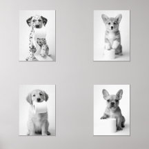 Quatro Cachorrinhos Adoráveis Estéticos com Papel 