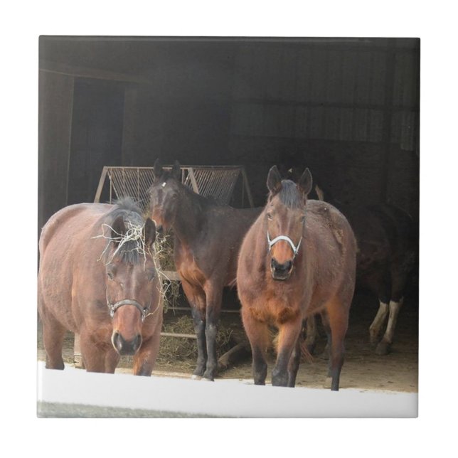 Quatro Cavalos (Frente)