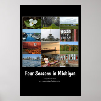quatro estações em Michigan poster