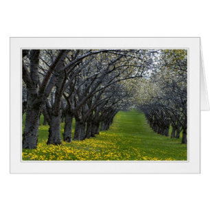 quatro estações no cartão de michigan 02