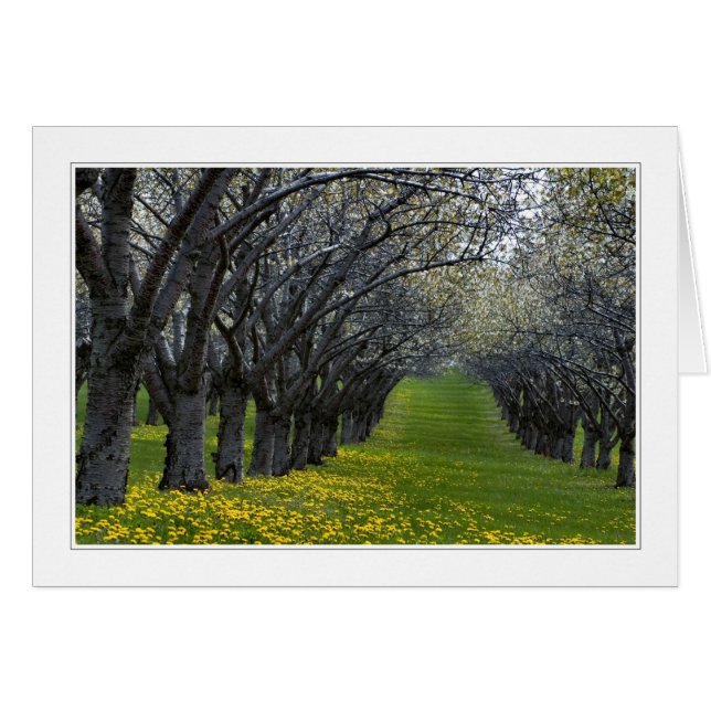 quatro estações no cartão Michigan 02 (Frente horizontal)