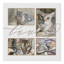 Quatro Fotografias Collage Love Pets White