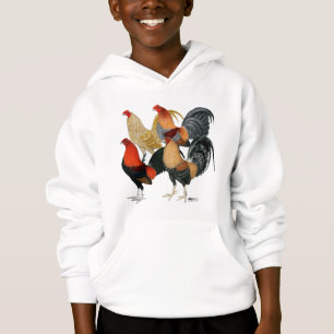 Quatro Gamecocks