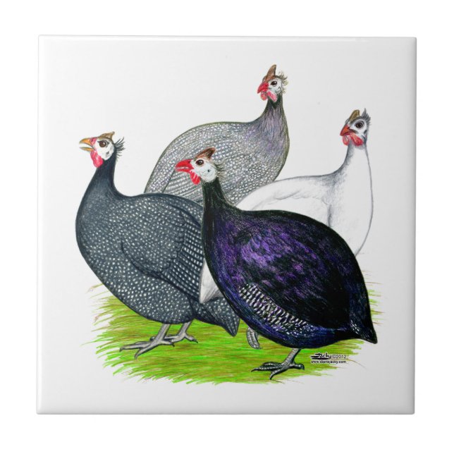 Quatro Guinés (Frente)