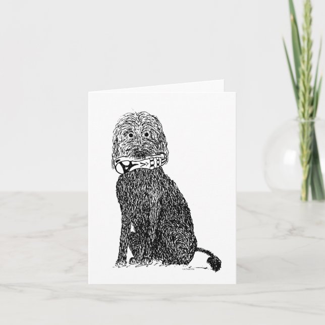 Que Calçado? Cartão (Frente)