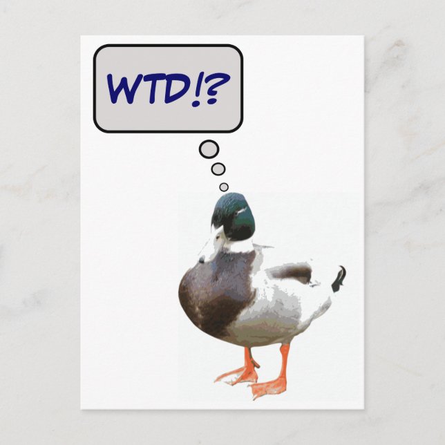 Que Cartão Postal Engraçado Do Duck WTD (Frente)