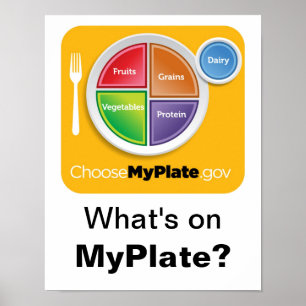 Que está em MyPlate? Poster - laranja no branco