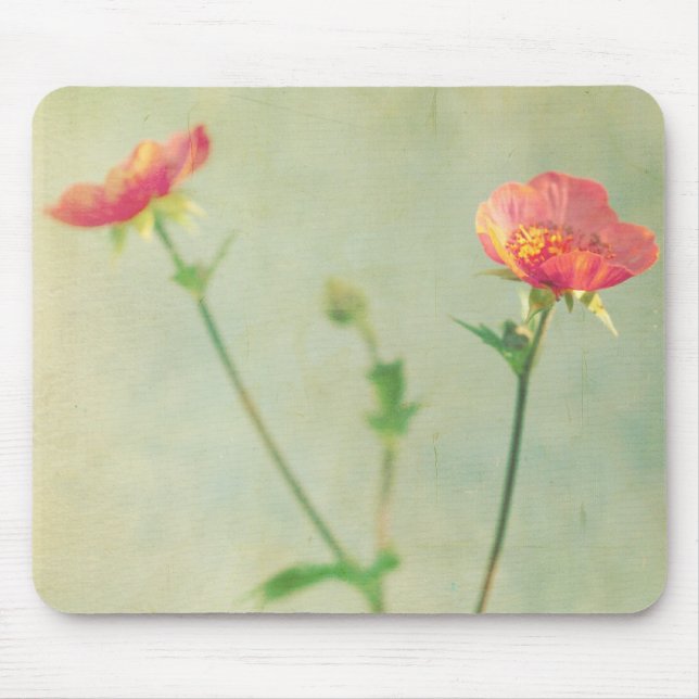 Que Mousepad seguinte (Frente)