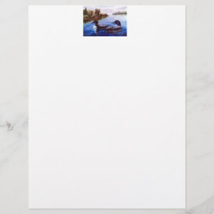 Que papel de carta do mergulhão-do-norte dos pare