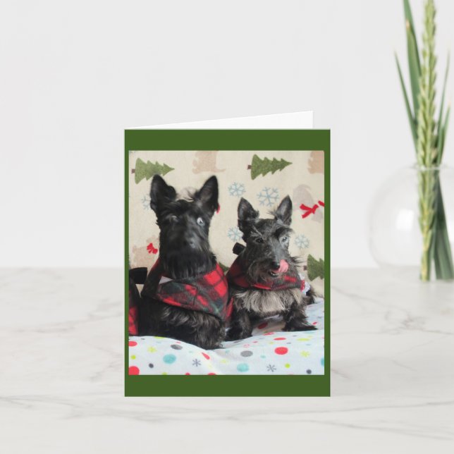 Que Renas? Cartão (Frente)