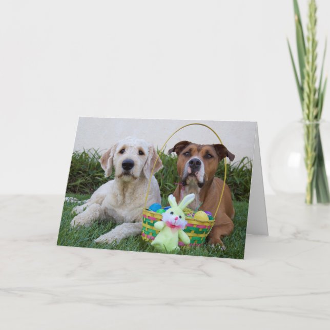 Que sua páscoa seja um cartão de ovo (Frente)