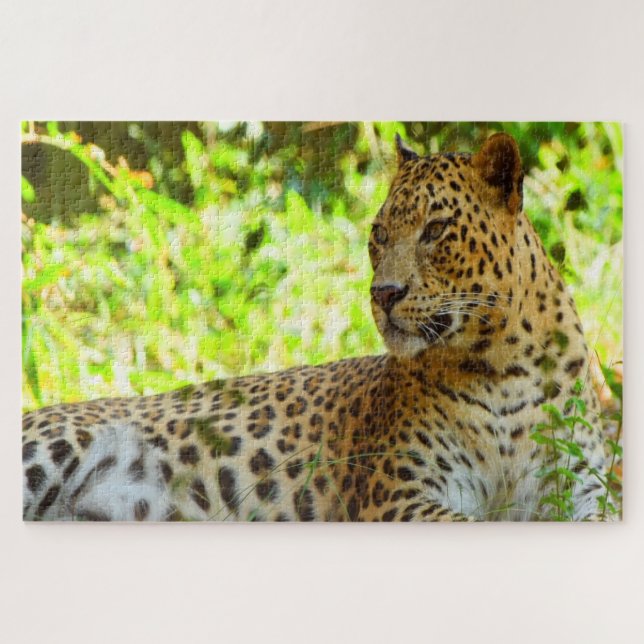 Quebra-cabeça (Horizontal)