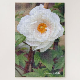 QUEBRA-CABEÇA 牡 丹 [花] ジ グ パ ソ ズ 