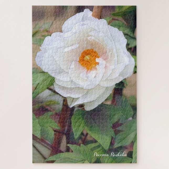 QUEBRA-CABEÇA 牡 丹 [花] ジ グ パ ソ ズ  (Vertical)