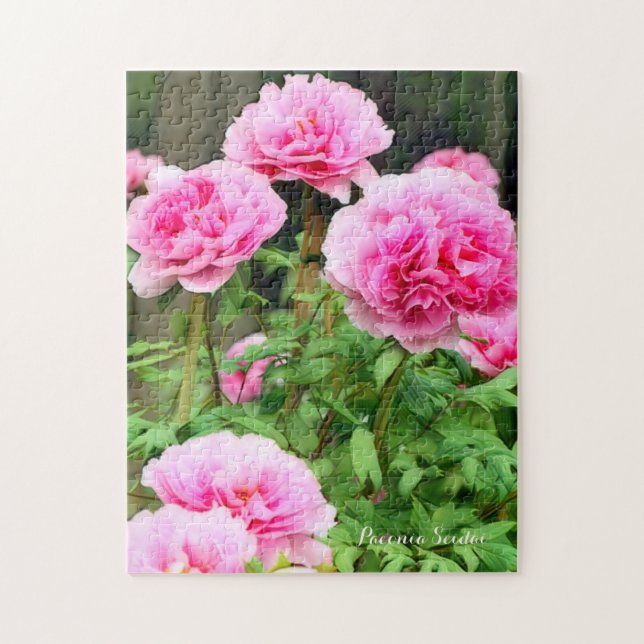 QUEBRA-CABEÇA 牡 丹 [花] ジ グ パ ソ ズ  (Vertical)