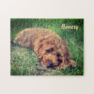 Quebra-cabeça 11x14 de Golden Doodle Fofo