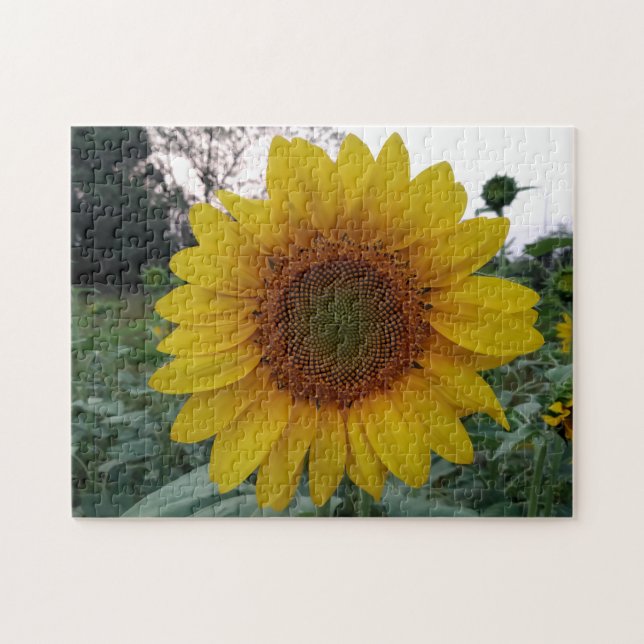 Quebra-cabeça 252 Piece Puzzle Featuring a Bold Sunflower Photo (Horizontal)