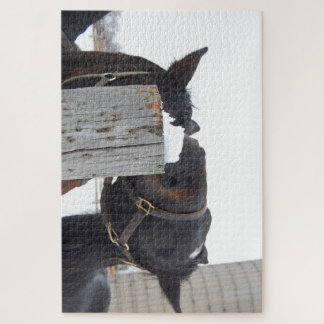 Quebra-cabeça 2 cavalos mastigando um Posto de cerca