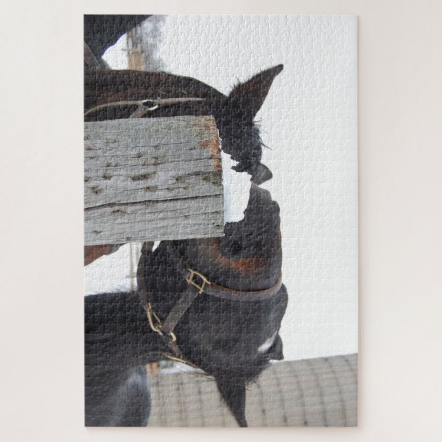 Quebra-cabeça 2 cavalos mastigando um Posto de cerca (Vertical)