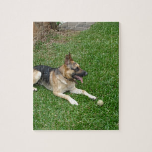 Quebra-cabeça 3 german-shepherd-laying.png