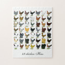 Quebra-cabeça 49 galinhas da galinha