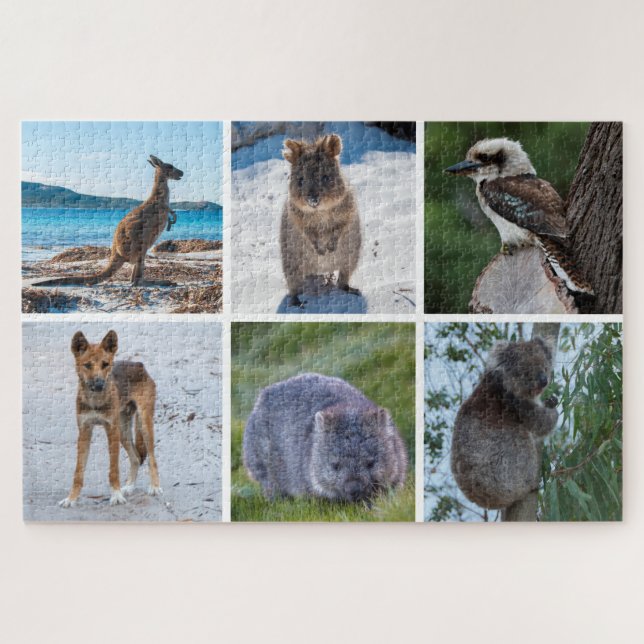 Quebra-cabeça 6-in-1 Animals of Australia, 1014 pieces (Horizontal)