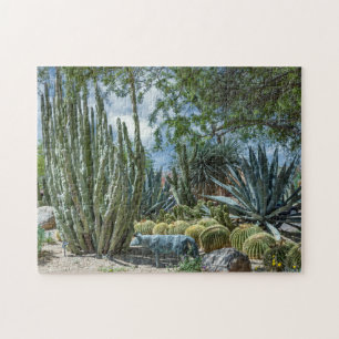 Quebra-cabeça 8393-Desert Cactus Garden