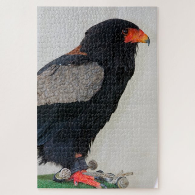 Quebra-cabeça A Águia Bateleur (Vertical)