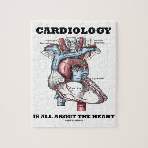 Quebra-cabeça A cardiologia é toda sobre o coração (anatômic