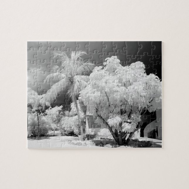 Quebra-cabeça A casa da Florida Keys e suas palmeiras, EUA.2 (Horizontal)