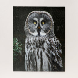 Quebra-cabeça A Cinza do Excelente jpcna 16x20 520pc