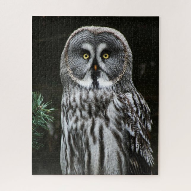 Quebra-cabeça A Cinza do Excelente jpcna 16x20 520pc (Vertical)