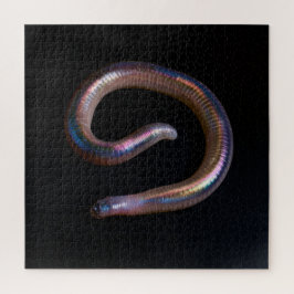 Quebra-cabeça A Coleção de Minhocas