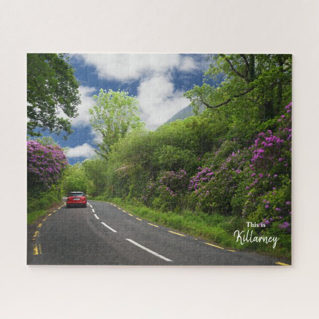Quebra-cabeça A estrada para Killarney - Irlanda (Horizontal)