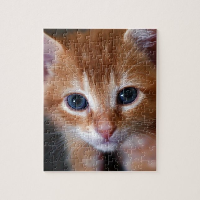 Quebra-cabeça A laranja é o gato novo (Vertical)