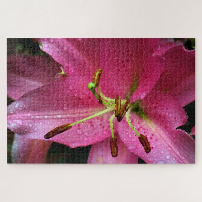 Quebra-cabeça A Lily Rosa (Horizontal)