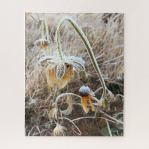 Quebra-cabeça A Mãe Natureza Tocou Flores Rudbeckia Congeladas