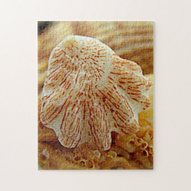 Quebra-cabeça A pata Shell do gatinho confunde (Vertical)