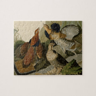 Quebra-cabeça A pintura de Audubon de um trio do galo silvestre