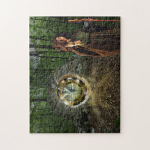 A porta da infinidade