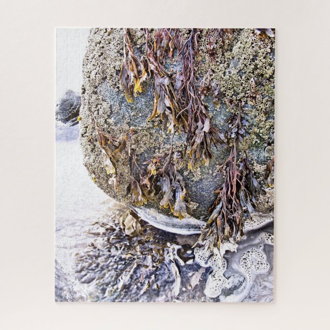 QUEBRA-CABEÇA A PRAIA (Vertical)