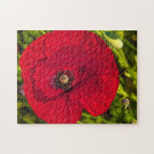 Quebra-cabeça A série de papoila nº 2 (Horizontal)