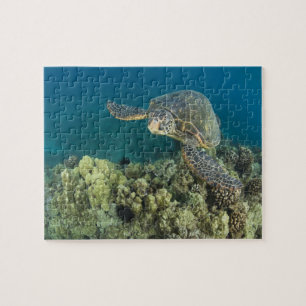 Quebra-cabeça A Tartaruga Marinha Verde, (Chelonia mydas), é a 2