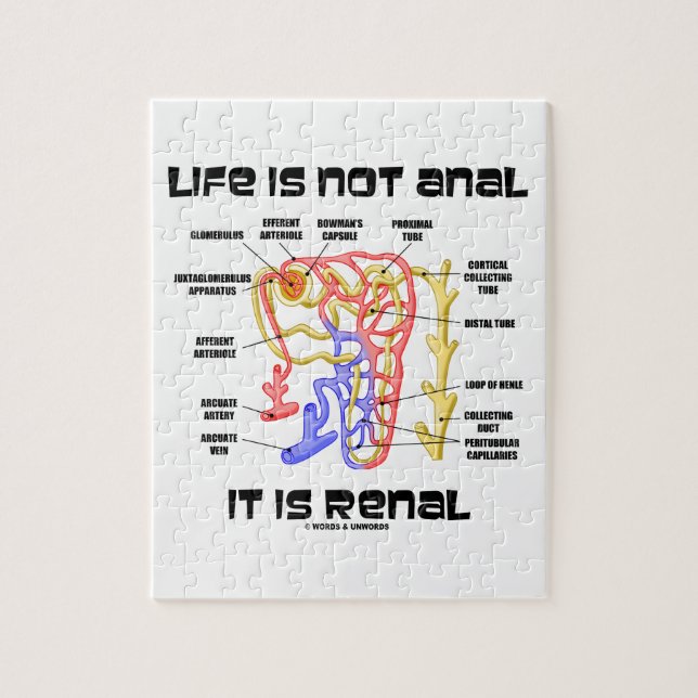 Quebra-cabeça A vida não é anal ele é renal (rim Nephron) (Vertical)