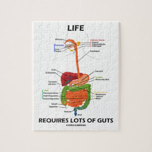 Quebra-cabeça A Vida Requer Muitas Tripas (Sistema Digestivo)